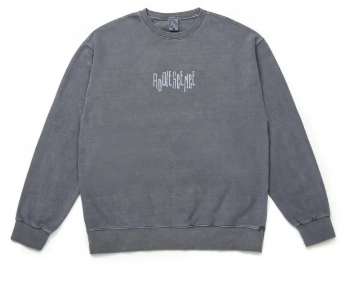 LE2  |BTS SUGA★LE2★Pigment adolescence sweat shirt